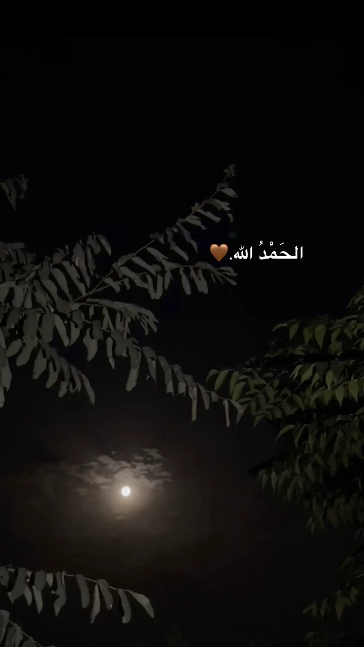 #الحمدالله .🤎