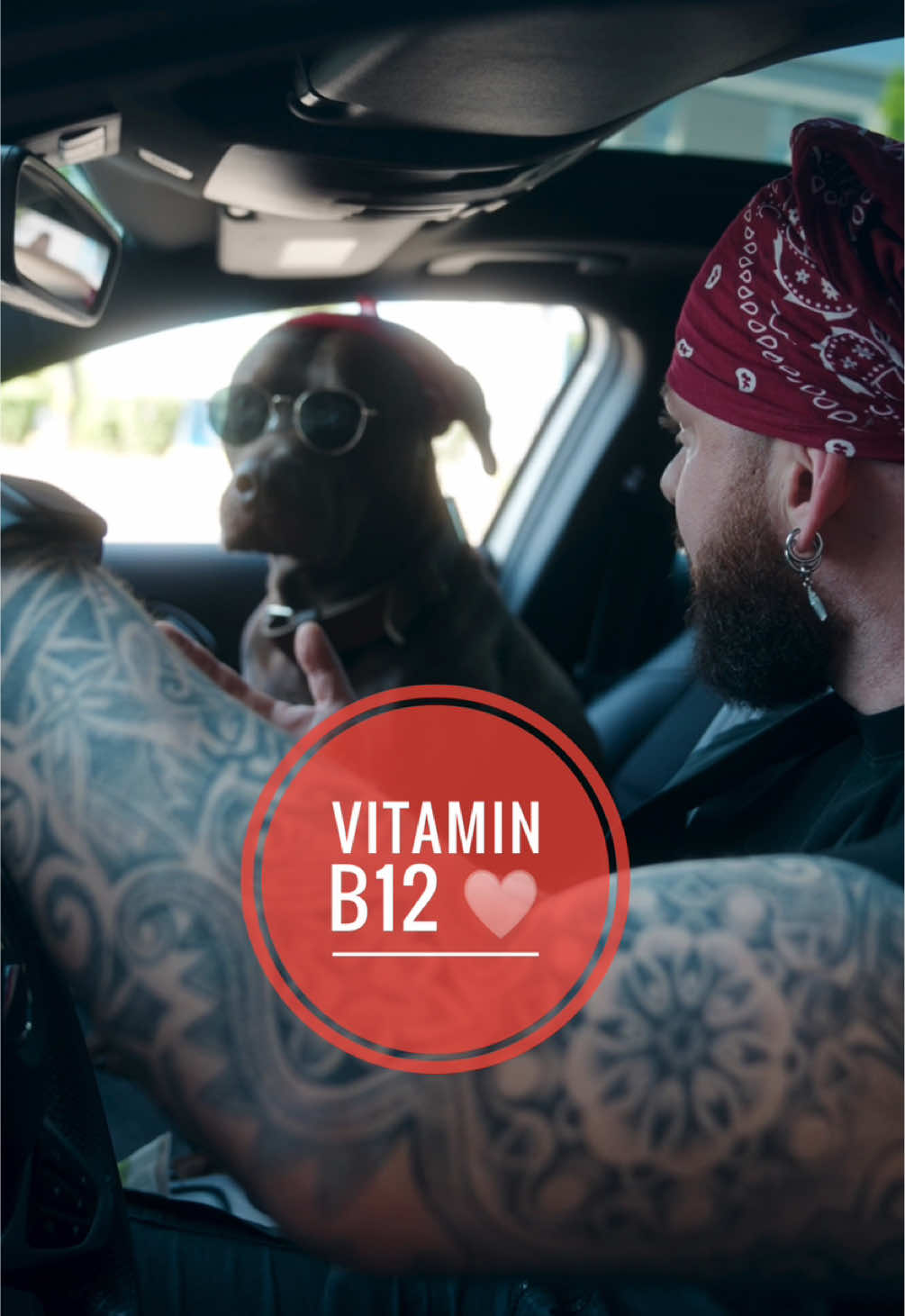 Gönn deinem Vierbeiner das Beste!♥️ Unsere B12-Tropfen sind echte Multitalente: Sie fördern die Blutbildung, pushen das Immunsystem, bringen den Darm in Balance, reduzieren Stress – und sorgen für spürbar mehr Energie! ♥️♥️♥️♥️ Mehr Power. Mehr Gesundheit. Mehr Lebensfreude. Jetzt im Shop sichern und deinem Liebling was richtig Gutes tun!♥️♥️♥️ Boneshands.shop #foryou #asmr #animal #chiropractortiktok #türkiye #hundeauftiktok #hund #tiere #Love #Love 