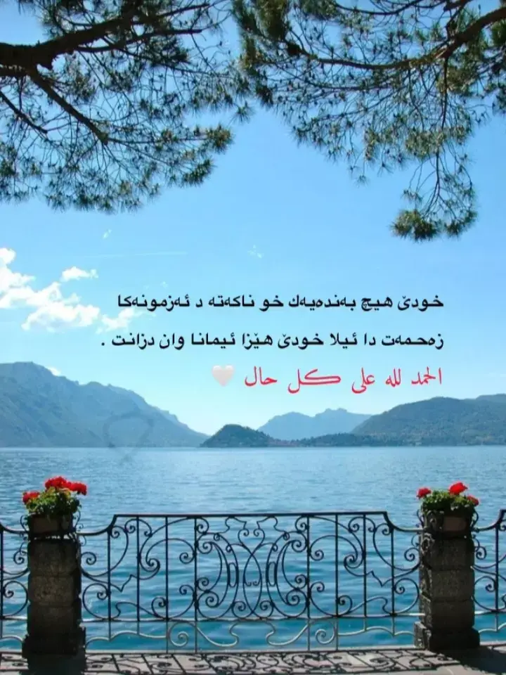 خودئ هيچ به نده يه ك خو ناكه ته د ئه زمونه كا زه حمه ت دا ئيلا خودئ هيزا ئيمانا وان دزانت🥺💔🥀 #الحمدلله_على_كل_حال 
