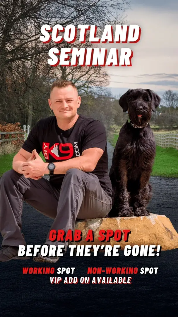 🚨 SPOTS ARE FILLING UP FAST! 🚨 Don’t wait and miss your chance to train LIVE with Garret Wing and Roddy Kirk this July in Edinburgh! This 3-day hands-on dog training event is perfect for owners, handlers, and trainers who want to take their skills to the next level and build better obedience and behavior in their dogs. What to expect: ✅ Balanced Dog Training That Works – Learn to use prong collars, e-collars, slip leads, and clickers correctly ✅ Marker Training Mastery – Improve timing, clarity, and reward delivery ✅ Fix Bad Behavior—Without Killing Drive – Maintain your dog’s power and confidence AND MORE... 📍 Where: Edinburgh, Scotland 📆 When: July 11–13, 2025 🎟 Working Spot: £750 🎟 Spectator Spot: £399 🎟 VIP Add-On: £500 – Dinner, Q&A, swag bag (can be added to any ticket) Whether you're a dog owner, handler, or trainer looking to get better, this is the event you don’t want to miss! Register now at LINK IN PROFILE! Or Contact Us Here: – UK / Europe: DM @be_pack_leader on Instagram – USA / International: Email us at info@diyk9.com – Message Roddy directly on WhatsApp: +44 07960 823722 #DogTraining #puppytraining #puppyfun #dogobedience #k9trainer #balancedtraining #puppyrecall #scotlanddogtraining #diyk9 #dogbehavior #dogtrainerlife #workingdogtraining