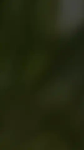#duet 