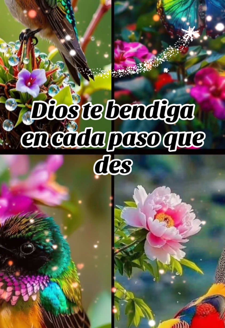 Buenos días amigos, esta oración es para ti, pidiéndole a Dios que bendiga cada paso que dés🙏#oracion #saludos #amigos #amigas #bendiciones #hoy #Dios #tuamigadorimek🌹 #dorimek🌹 