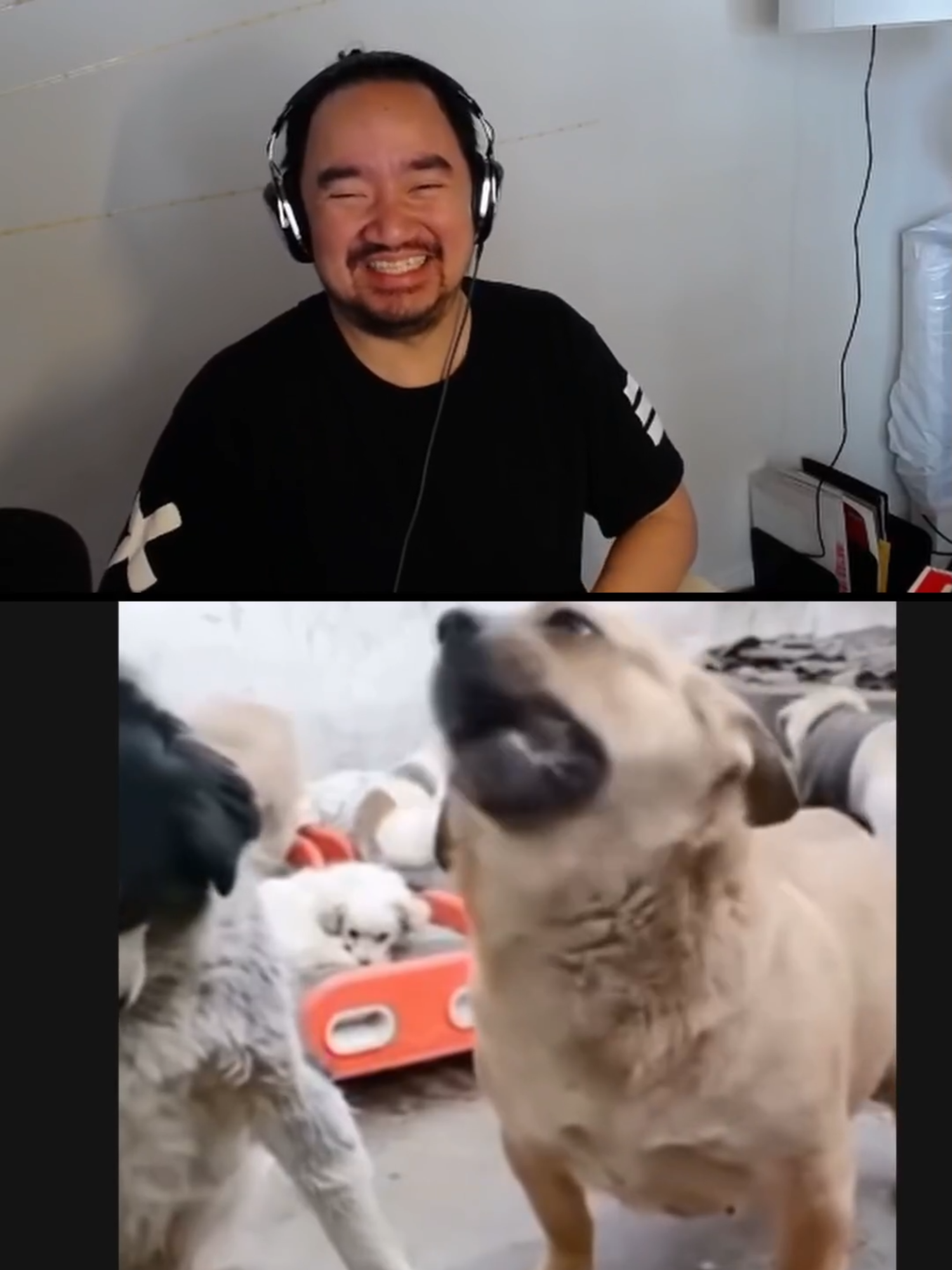 Part 52: dog take any opportunity that he gets #reactvideo #fypシ #funny