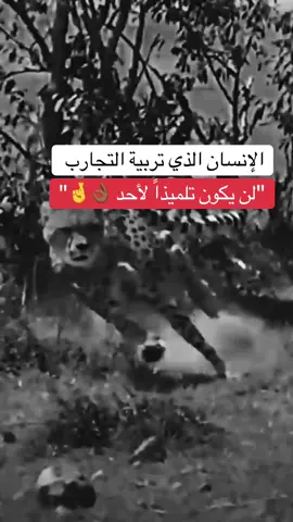 #حفيد_العجوز🖤🖤 