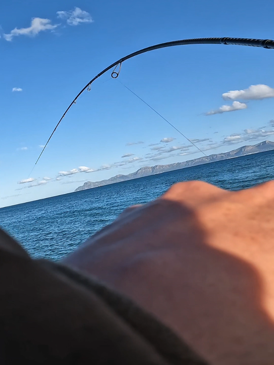 Como lo explico??? Es imposiblee #pesca #fishing #extremefishing #parati #adrenaline #pescador #spinningfishing 