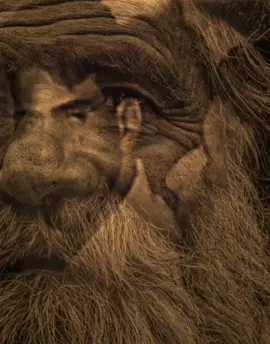 #احمدعلي #شعراء_وذواقين_الشعر_الشعبي #تصميم_فيديوهات🎶🎤🎬 ذكركم على بالي اليوم عنه… 💔… #تصميمي #المصمم #شاهين #🇸🇾 #مجرد________ذووووووق🎶🎵💞 #fyp 