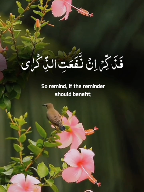 Surah al Ala.🎧❤️.#viral #tilawat #Uk #قران #تلاوت #unfreezemyacount #trendingvideo #quran #recitation #beauty #unitedkingdom @Holy Quran 🎧 @Holy Qur'an @9Li9 |  عبدالرحمن مسعد @Holy Qur'an 🎧 