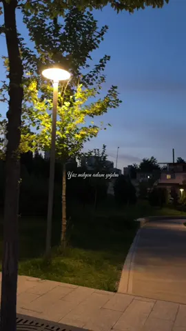 ♥️ #fyppppppppppppppppppppppp #beniöneçıkart #beniönecikart #keşfet #keşfetteyizzz #beniöneçıkar #viralvideo #viraltiktok #fypシ゚ #baku #night 