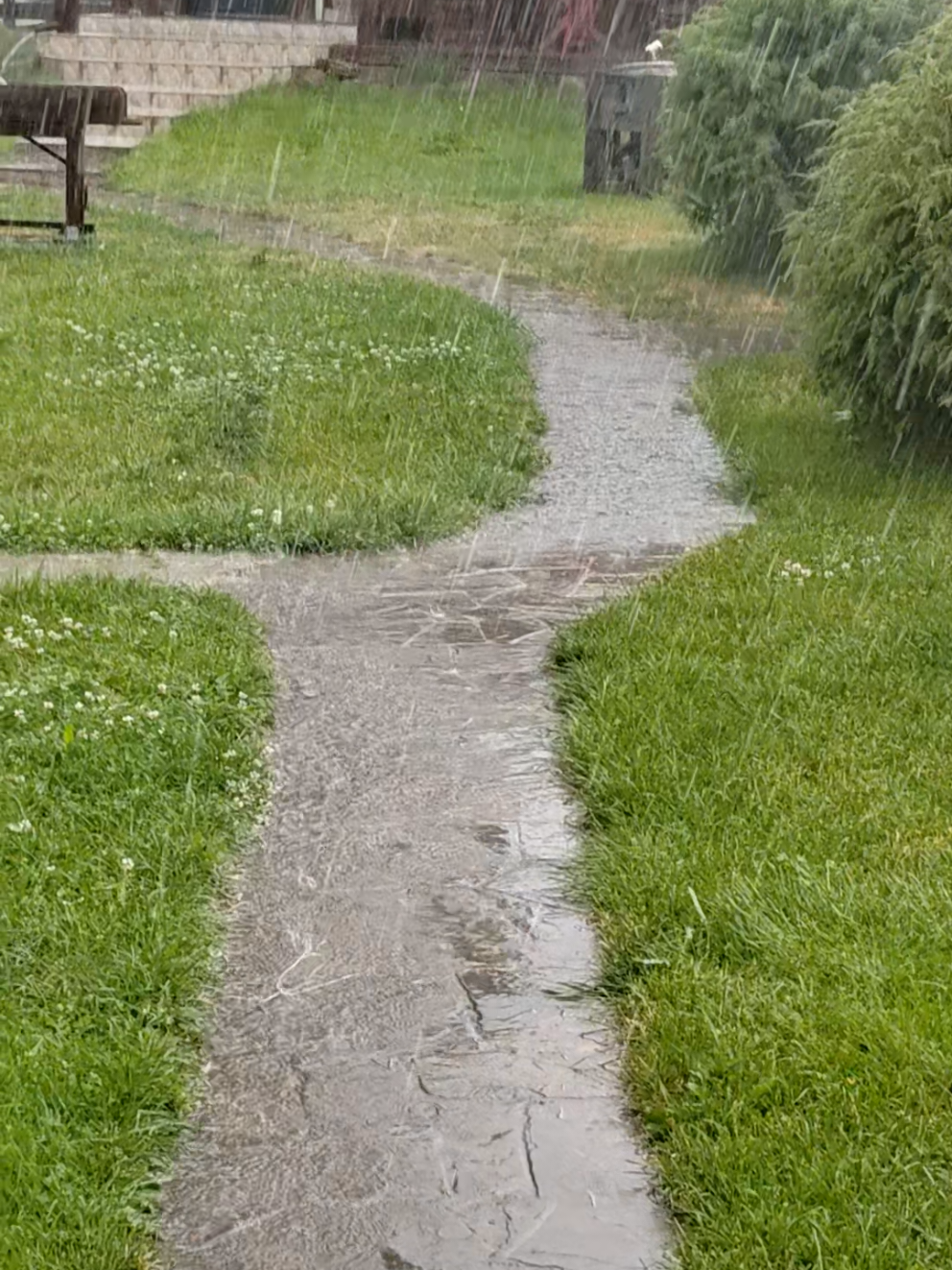 #погода #беловежскаяпуща #аренда #derevenskiyray #арендаусадьбы #май #деревенскийрай 