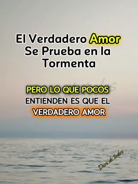 El Verdadero Amor Se Prueba en la Tormenta #amorverdadero #amor #amorpropio #amordemivida 