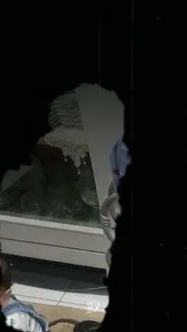 #CapCut  نورين قلب أبوه🌹🌹 #المؤنسات_الغاليات #نورين #الحمصاني 