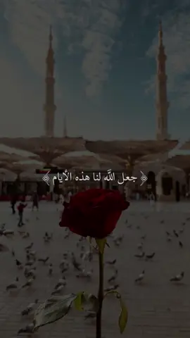 (جعل الله لنا هذه الأيام جسراً ممهداً من نور لأيام جبر وخير وسعه)🤍#ادعيه #اللهم_امين_يارب_العالمين 