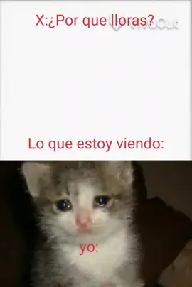 por que bro por que se tuvo que morir shinobu😭😭😭#anime #tristerealidad #giyuutomioka #shinobukocho #demonslayer #kny #giyushino 