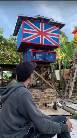 Matur suwon hiburan Lee ,belum rezeki musim ini 🥀 Leren sek saiki wayahe balik kandang Servis dulu Leee 🍻 #etanyouthcrew #SemarXEtanyouthcrew #merpati #merpatilovers #merpatikolong #fypシ #fyp 