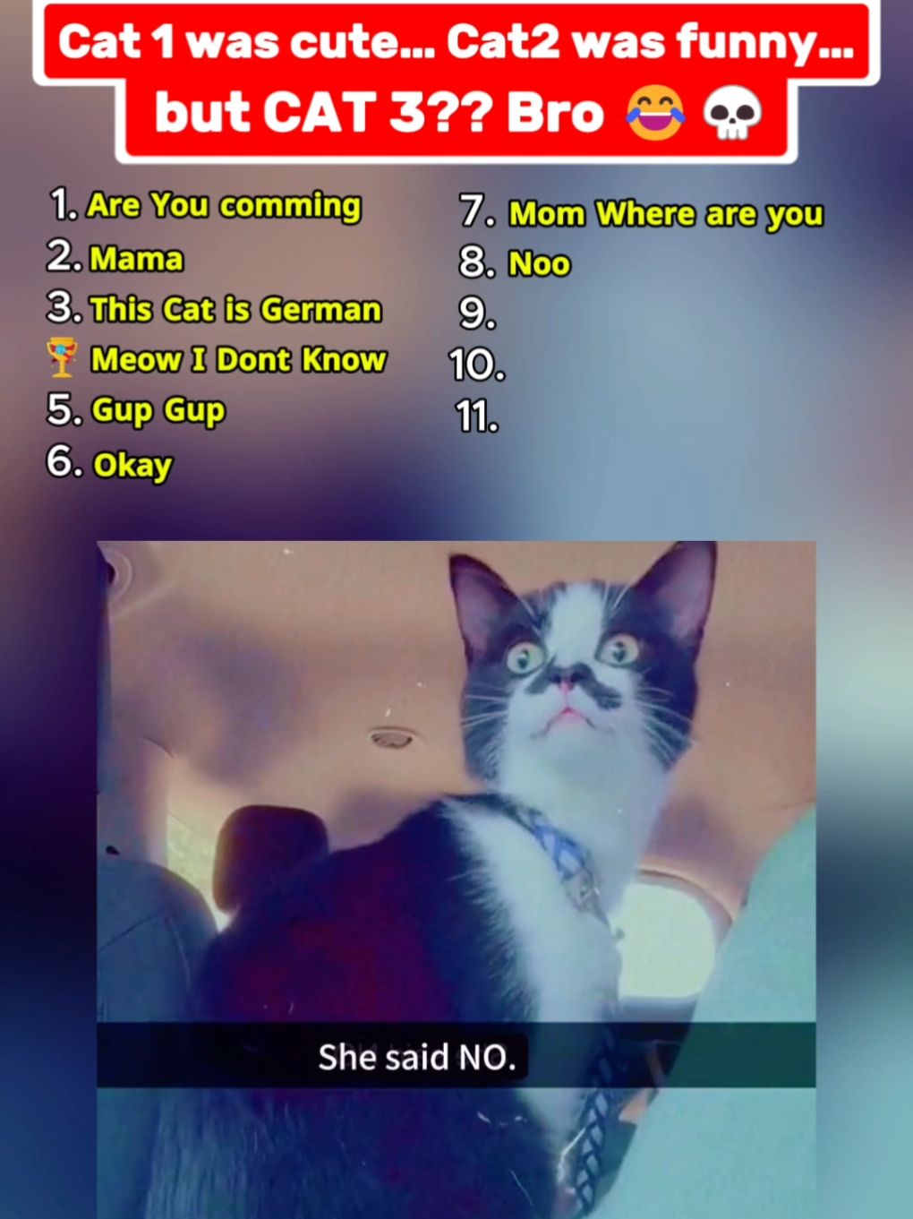 Ranking Funniest Talking Cat's moments 🤣🤣  #talkingcats #funnypets #funnypetsoftiktok #foru 