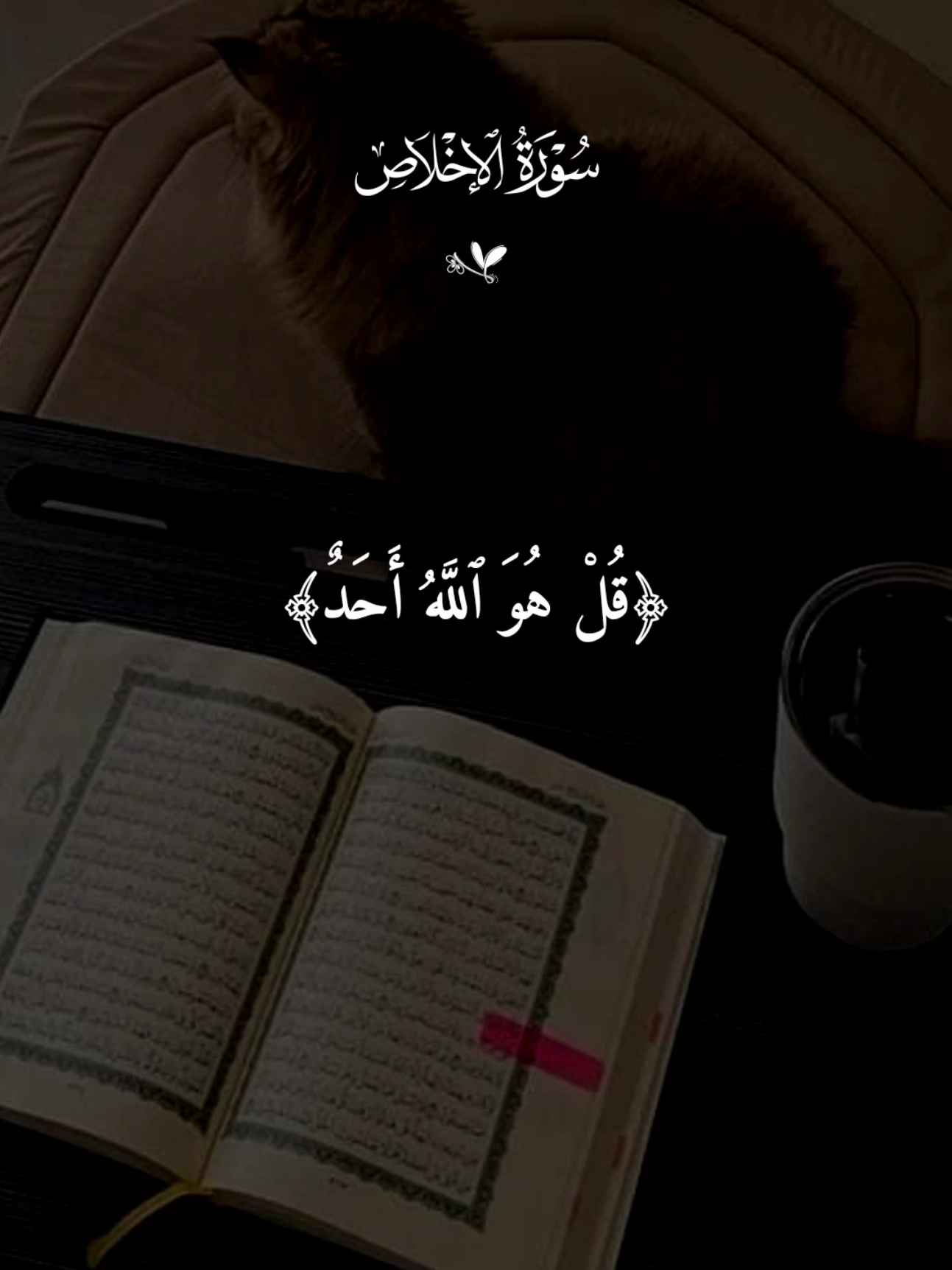 سورة الإخلاص و سورة الفلق و سورة الناس  #quran #القرآن #quran_alkarim #القران_الكريم #qu_ran_n #تلاوة_خاشعة #qu_ran_n؛؛قرآن #quran_114st 