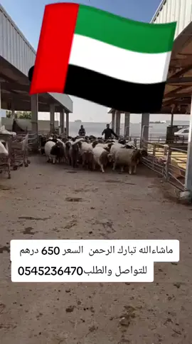 #الإمارات_العربية_المتحدة🇦🇪🤟 #مطاعم_ابوظبي #مطاعم_الكويتmall30 