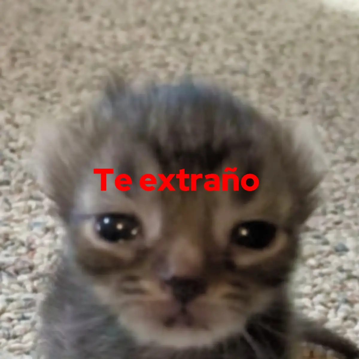 Hola te extraño, ya quiero verte 😞 #dedicar #textorojo #teextraño #Amor  #pareja #novios #identificarse #extrañar  @Ali 😿