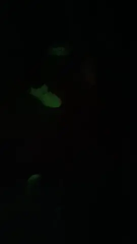 cómo cuando le sacas dela cama para seguir tomando 🤣🤣#estados #salidas #juliaca #goo #house