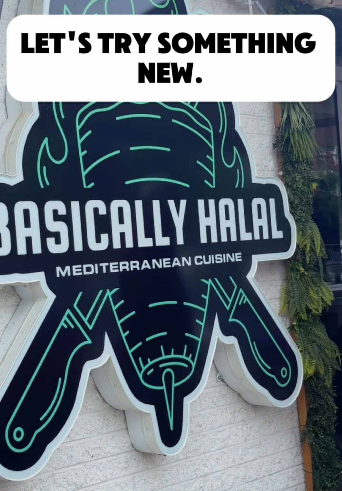 Let’s try something new! Basically Halal , Richmond, Virginia  #rva #richmondva #foodreview #basicallyhalal @Basicallyhalalrva 