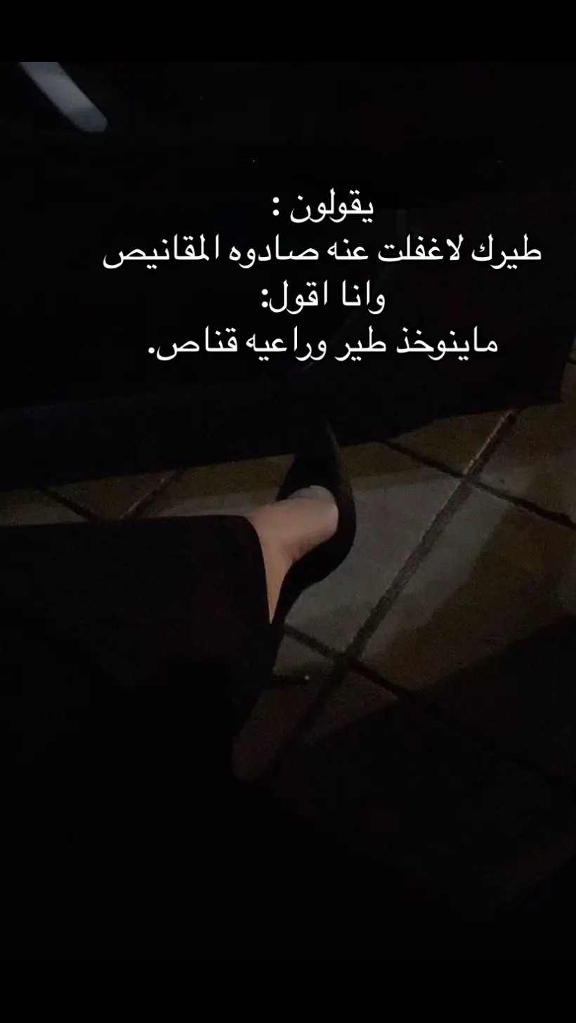 #مالي_خلق_احط_هاشتاقات #creatorsearchinsights #fypシ゚ 