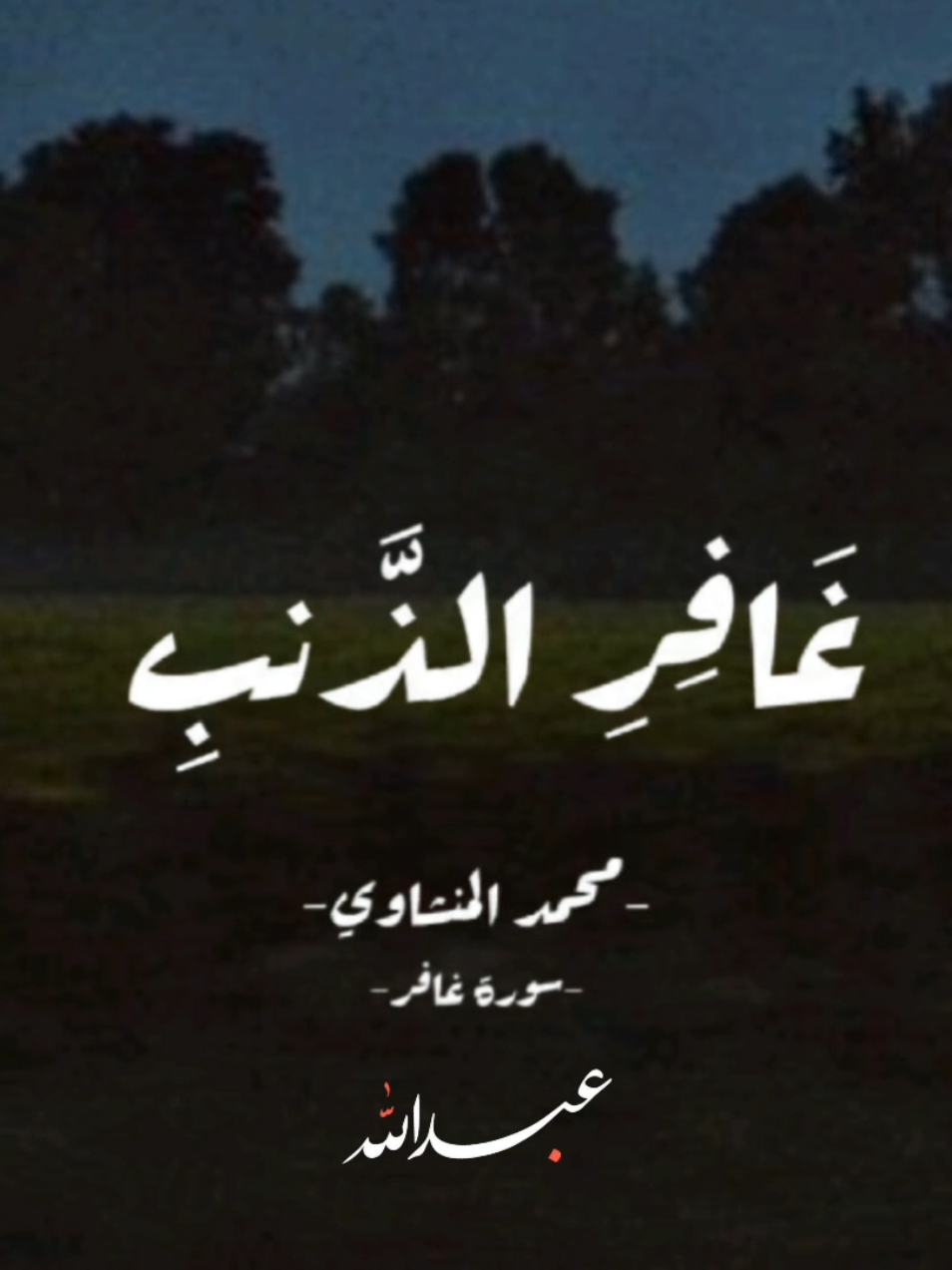🦩|غافر الذنب . . . #quran #قران #مشاهدات100k🔥 #مشاهدات_ 