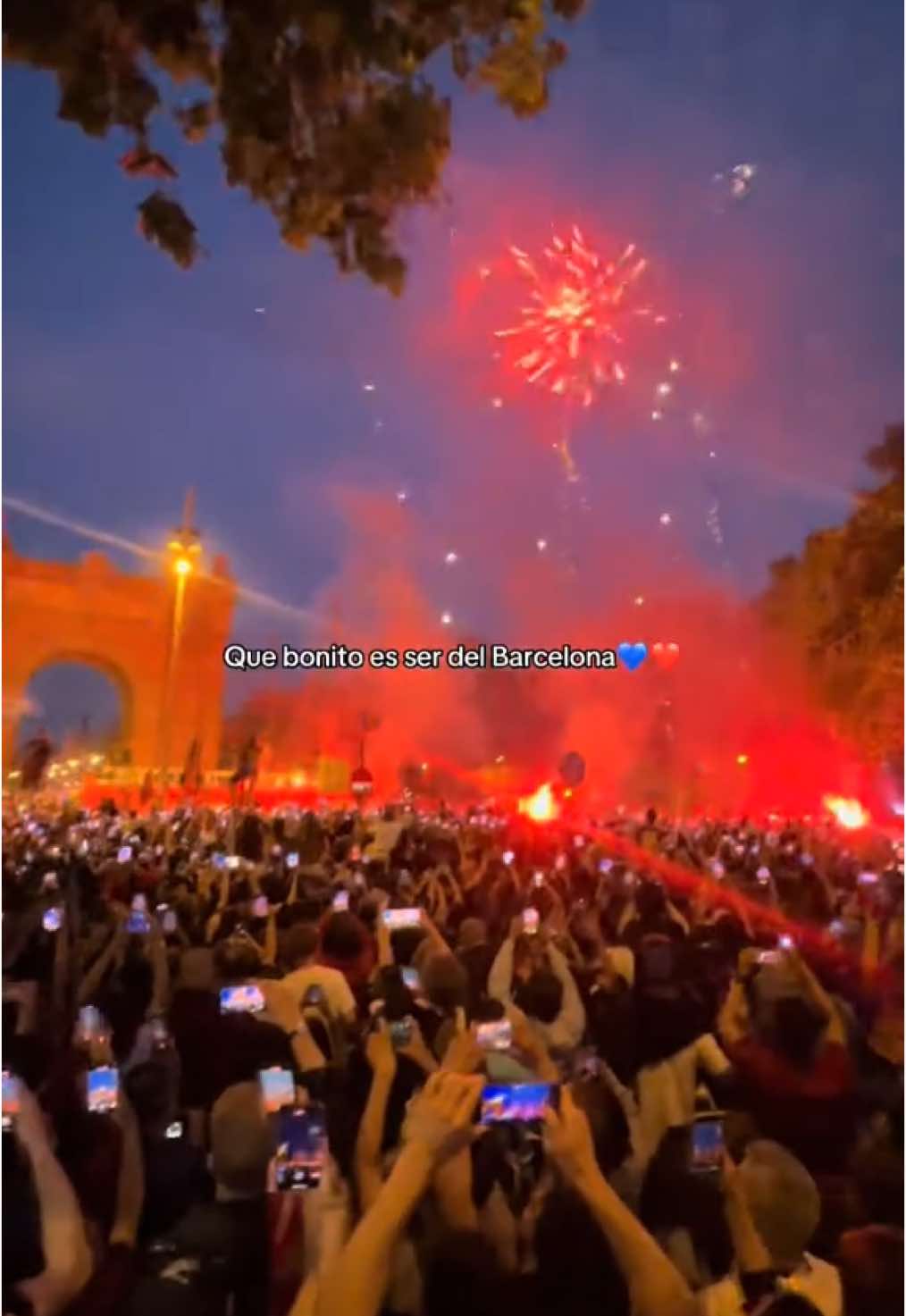 💙❤️#foryou #viraltiktok #campeones #rua #liga 