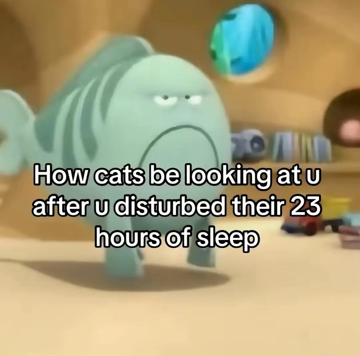 u don’t even do nothing girl🥀😭 #cats #cat #foryoupage 