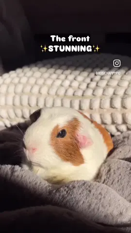 😅