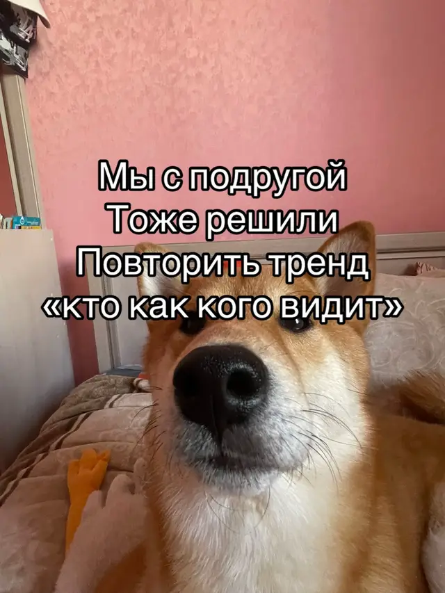 #лп#тренд#врек#рееи#глобальныерекомендации