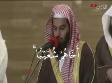 #قران #انس_العمادي #تلاوة_خاشعة #محمد_ايوب #قران_كريم 