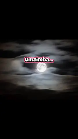 Isihlabelelo: 31 Weladlawu Olwezulu Obehlabelela: Ayanda Ntanzi #amanazaretha #ebuhlenibamanazaretha🚂☀️🌙🌈⚡ #uthingolwenkosazana #nyazilwezulu #bhombela #nyangayezu #inkosilanga 