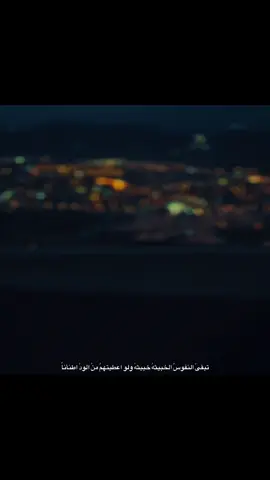 #الحياني درس اليوم 👍🏻👋🏻🖤