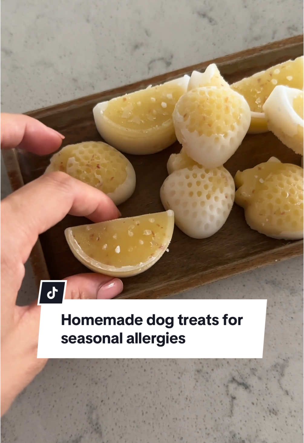 Dog treats for seasonal allergies! #mealtoppers #homemadedogtreats #dogtreatmolds #diydogtreats #frozendogtreats #pupsicle #emerypets 