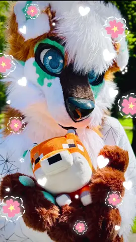 My cute baby Minecraft fox 🥺🦊 Happy #fursuitfriday! @Foxy 🦊 | Akira ✨| Frostbite❄️  #fyp #foryou #foryoupage #furry #furrys #furries #furryfandom #fursuit #fursuiting #fursuits #fursuiter #fursuitphotography #fullsuit #furryoc #fursona #furrypride #Pride #gay #gaypride #suitwalk #furrycommunity #furrycouple #fursuiters #germanfursuiter #germanfurry #furrywolf #furry4life #furriesofintiktok #cute #sweet #furciety #furciety2025