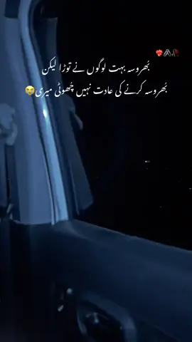 #seriously#NASEEB #hainaww??🥹 #Love #❤️‍🔥🥀 
