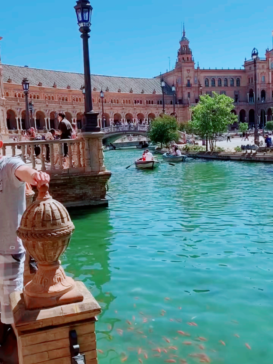 ا#حبيبي #حب #amour #امكلثوم #soiree #فرنسا🇨🇵_بلجيكا🇧🇪_المانيا🇩🇪_اسبانيا🇪🇸 #viralvideos #pourtoi #fyp #المغرب🇲🇦تونس🇹🇳الجزائر🇩🇿 #españa 