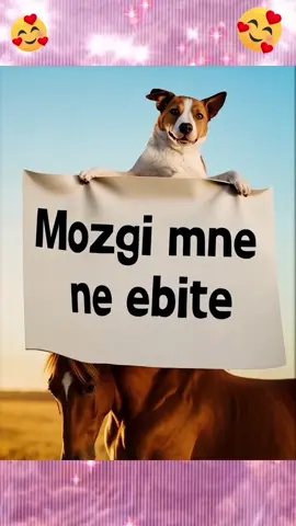 Мой девиз в последнее время 