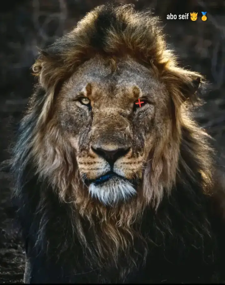 #اخصام_سهله🥷⚔️🖤  #كفرالشيخ_بلد_العتوله👊👿  #الكوم_الطويل_بلدنا🌎🔥 