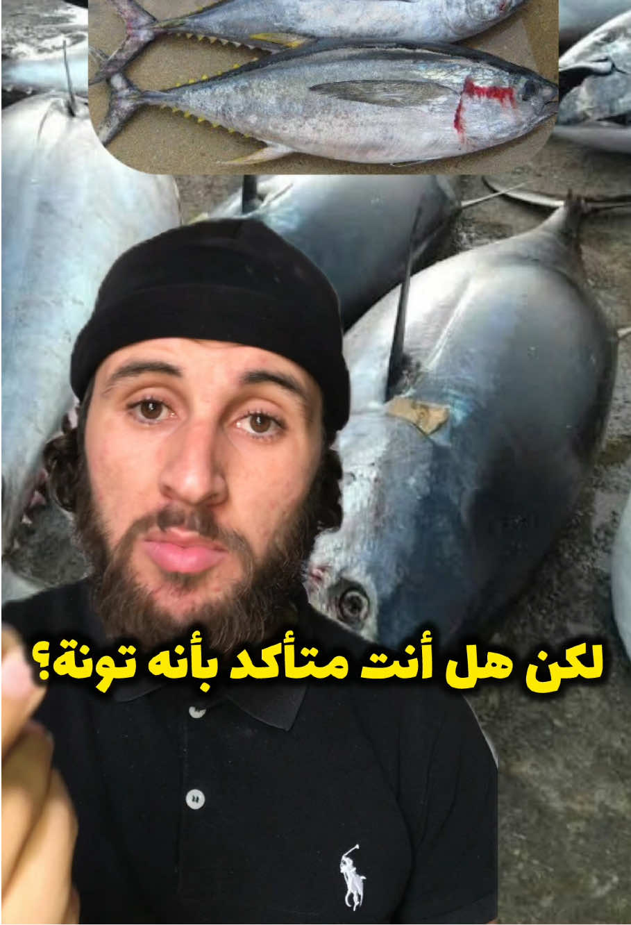 لازم تفرق بين أنواع التونة في السوق!!  #eljbaily #جبايلي #تونة #tuna #viralreelsシ #viralreelsfaceboo  #توعية  #تخييم  #camping #survival #fishing #fish #algeria #world