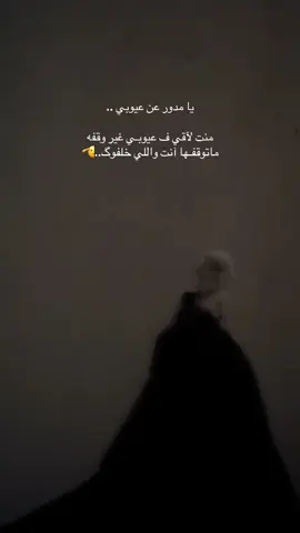 🕊️🕊️🕊️🕊️🕊️