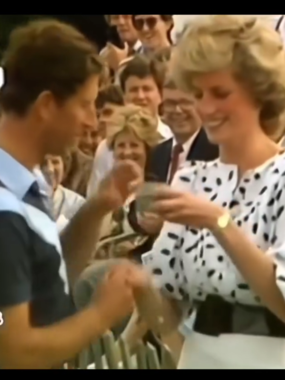 #britishroyalfamily #dianaspencer #princessdiana #princecharles 