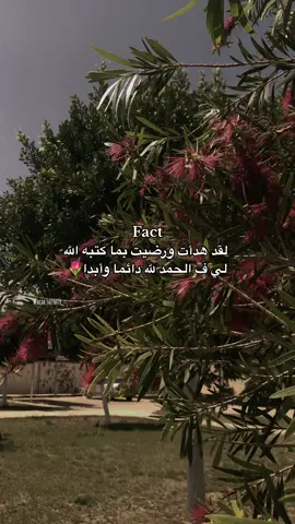 🤍🤍🌷 #libya🇱🇾 #طرابلس #الجزائر🇩🇿 #muslimtiktok #muslim #explore #اللهم_انك_عفو_تحب_العفو_فاعف_عنا #اللهم_توفيقك_في_كل_خطوة_نخطيها 