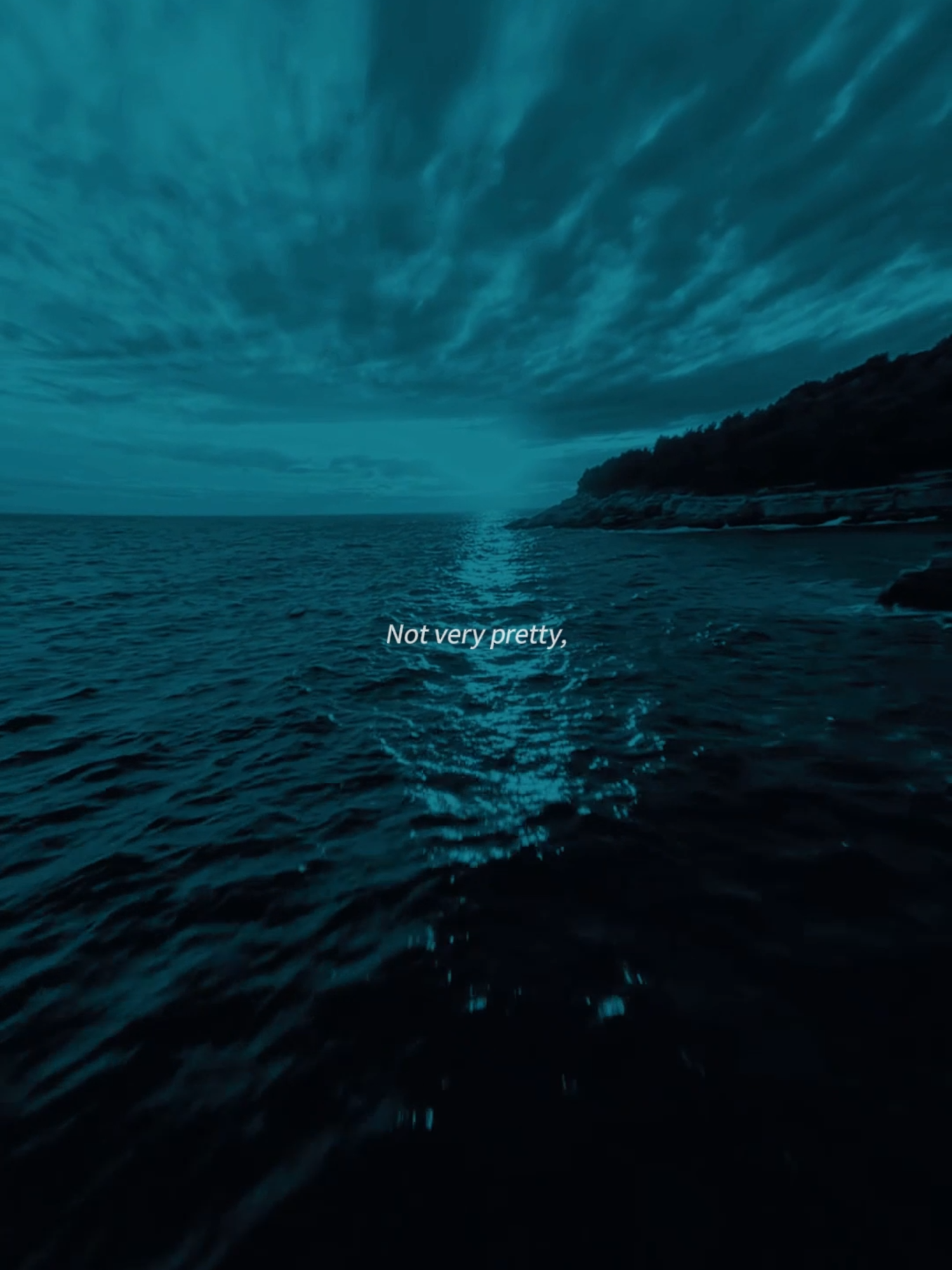 Lorde - Team #lyrics #drone