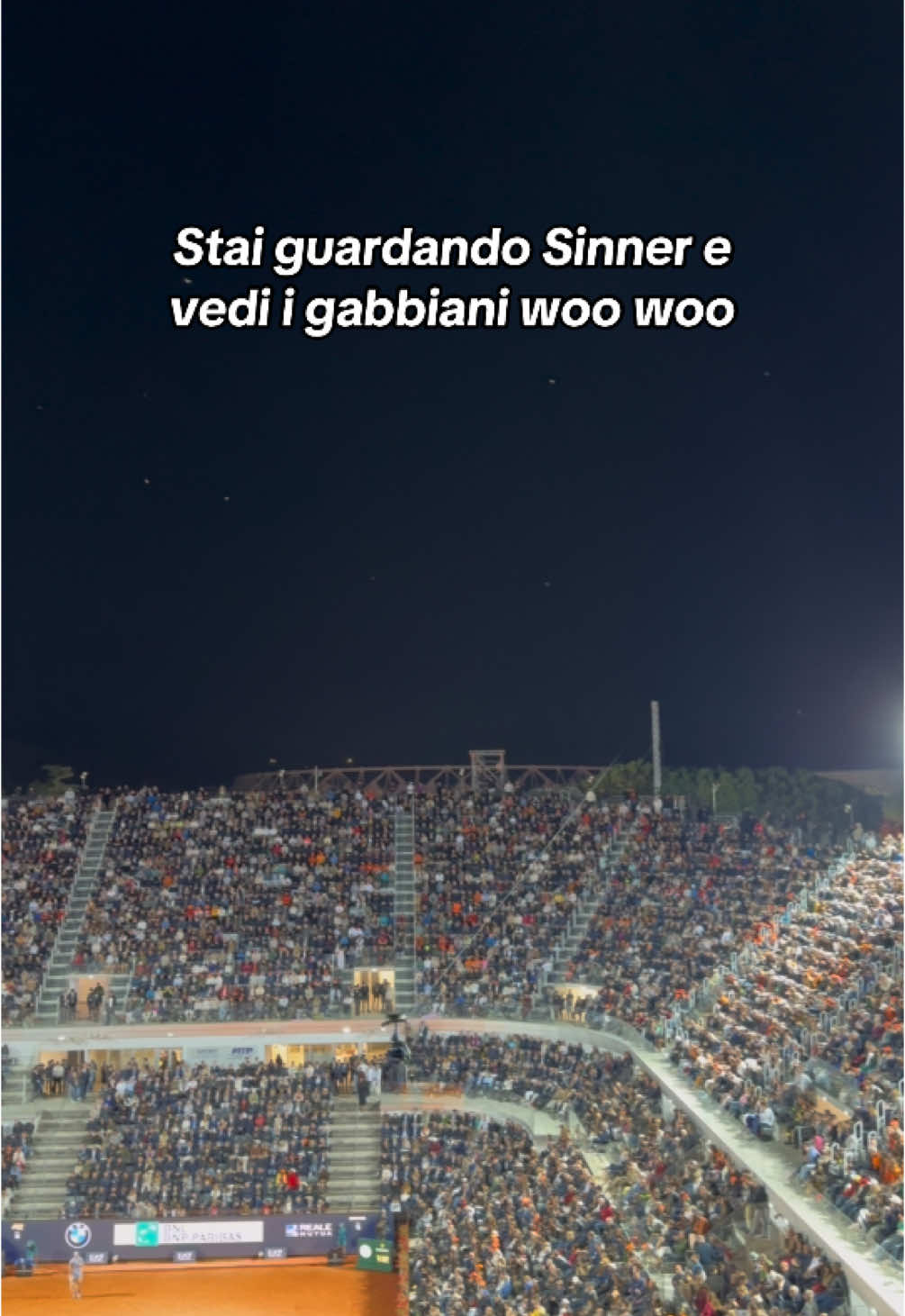 Sinner e i gabbiani woo woo. #IBI25 #Sardegna 