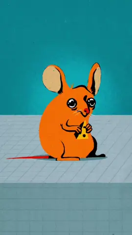 Its really like watching a genuine caricature of a megalomaniac politician, holy cow how does he spout so many gems like this. Took me a little longer to animate and its my first foray into music editing hope, you like it! #trump #american #meme #trans #transgender #mice #lgbtq #procreate #dragqueen #procreatedreams 