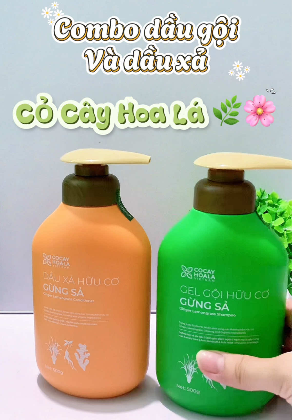 Combo gội xả Cỏ Cây Hoa Lá #daugoi #daugoithiennhien #cocayhoala 