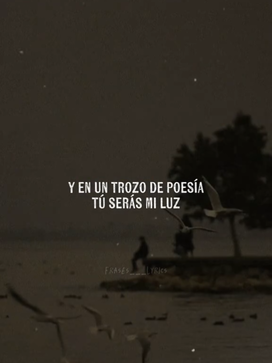 🎶Yo te amo❤️....................  #yoteamo #Chayanne  #cancioncitasdeamor #letras #baladasromantica #zyxcba #enparati #cover #songlyrics #letrasdecanciones #parati #Viral #musica #romantica #paradedicar #🎶❤️ #fyp @Chayanne 