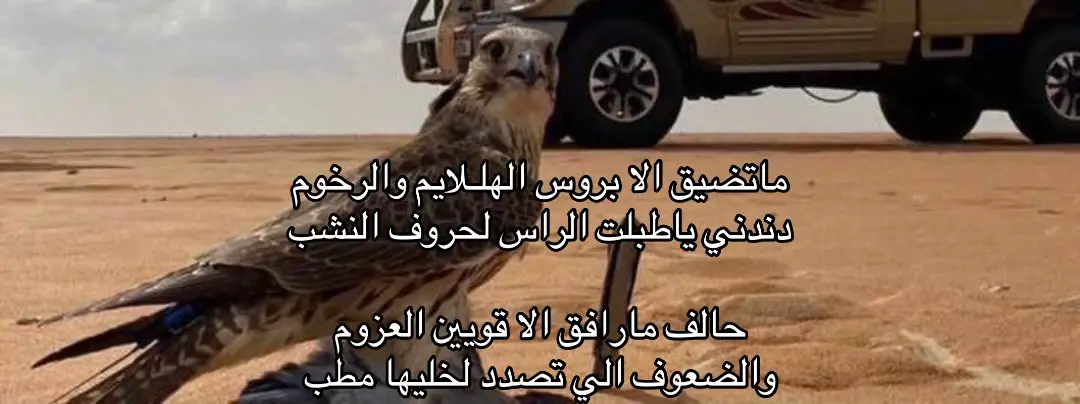 #fyp #explore #اكسبلور 
