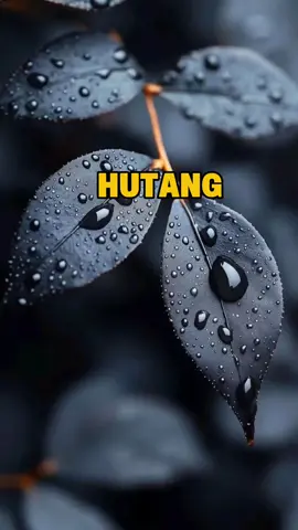 #hutang #oranglain #saudara 